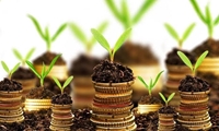 پرداخت بیش از ۴ هزار میلیارد ریال تسهیلات به بخش کشاورزی قزوین در نیمه نخست سال جاری